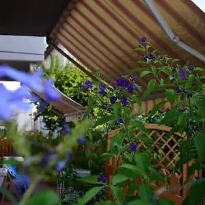 Affittacamere Domus Socolatae Apartments&suites, Follonica